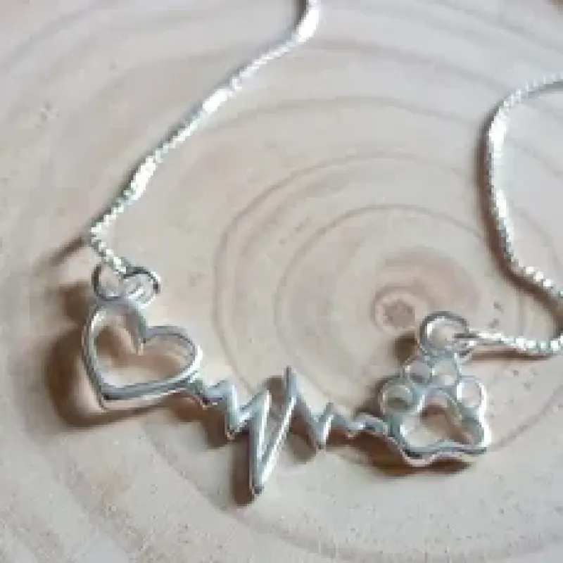 COLAR DE PET COM BATIMENTO CARDIOCO