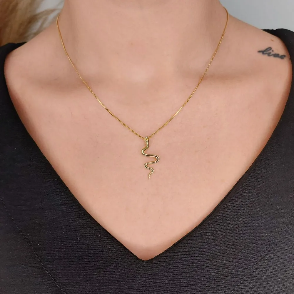 COLAR DE COBRA LISA
